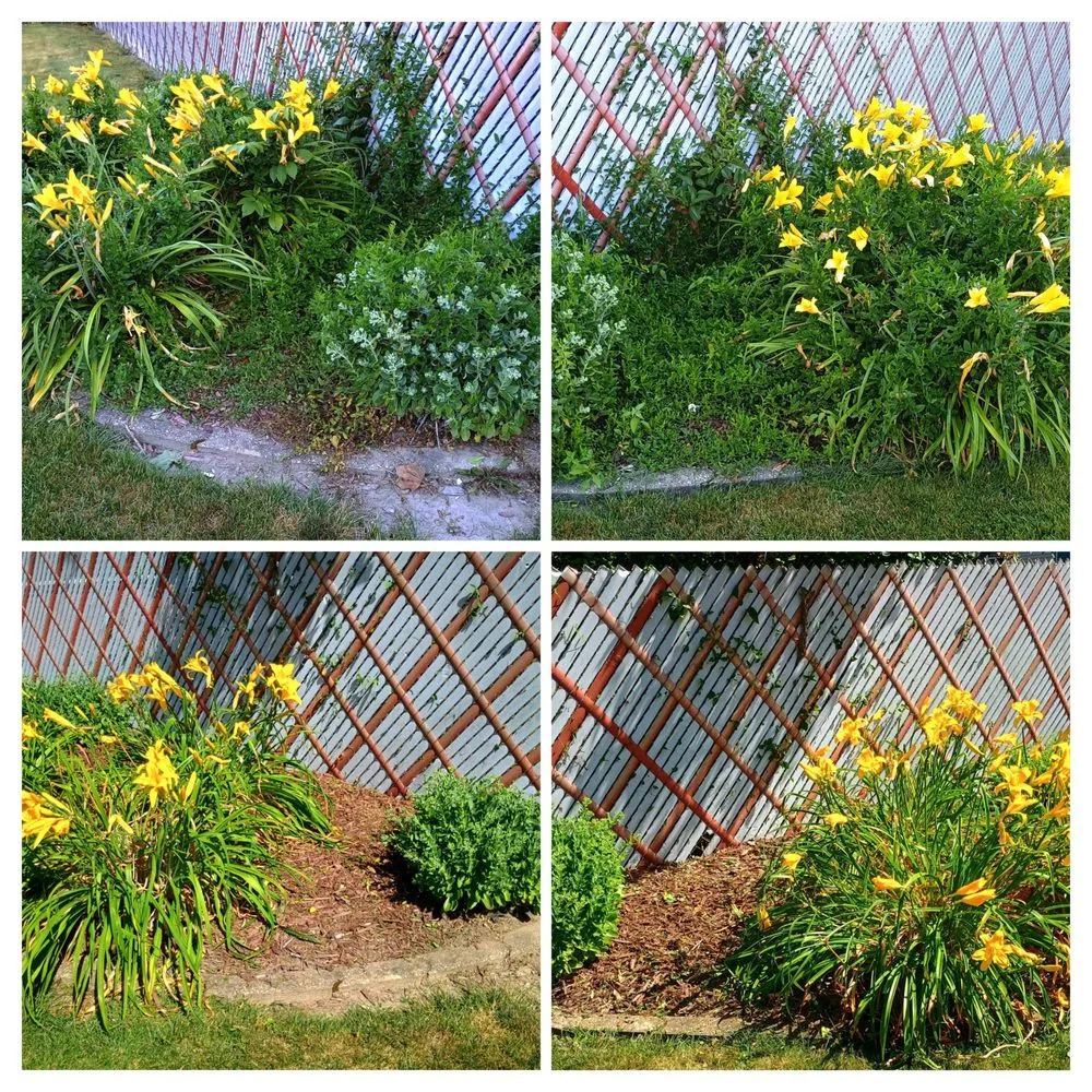 Expert lawn care service for residential properties across Saginaw, MI - The Tending