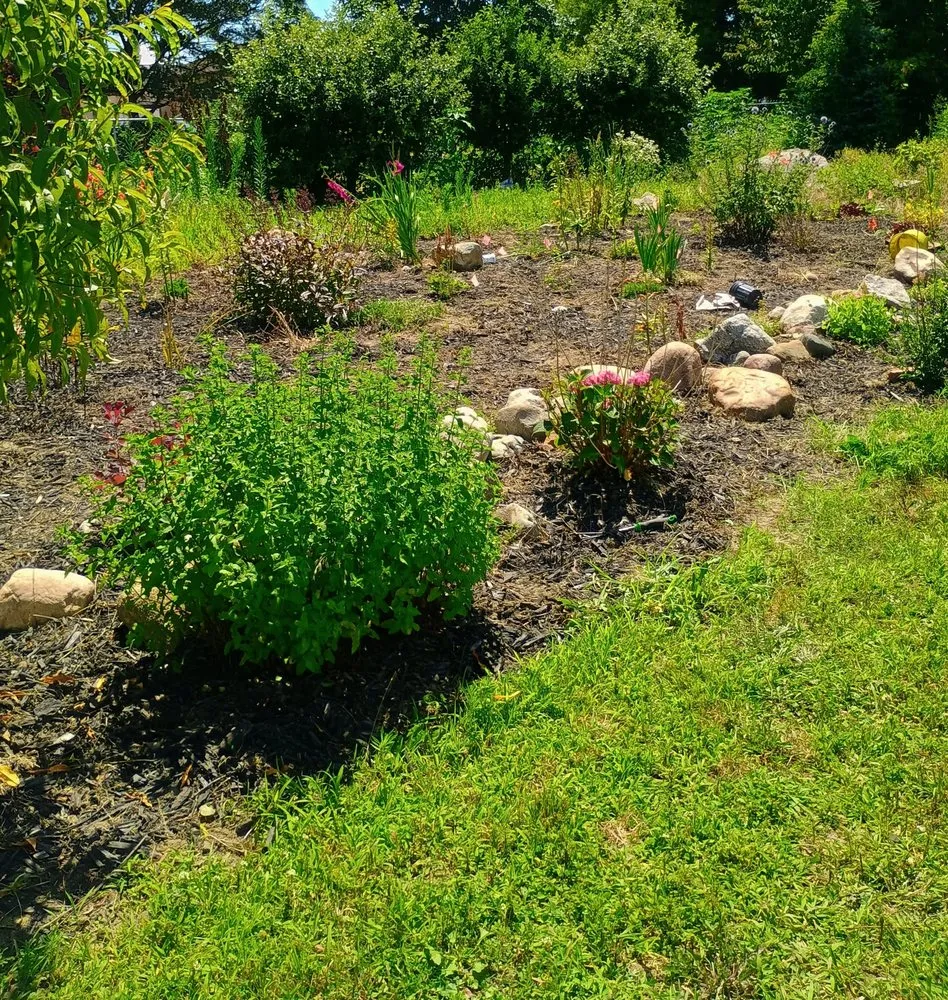 Trusted lawn mowing service in Saginaw, MI - The Tending