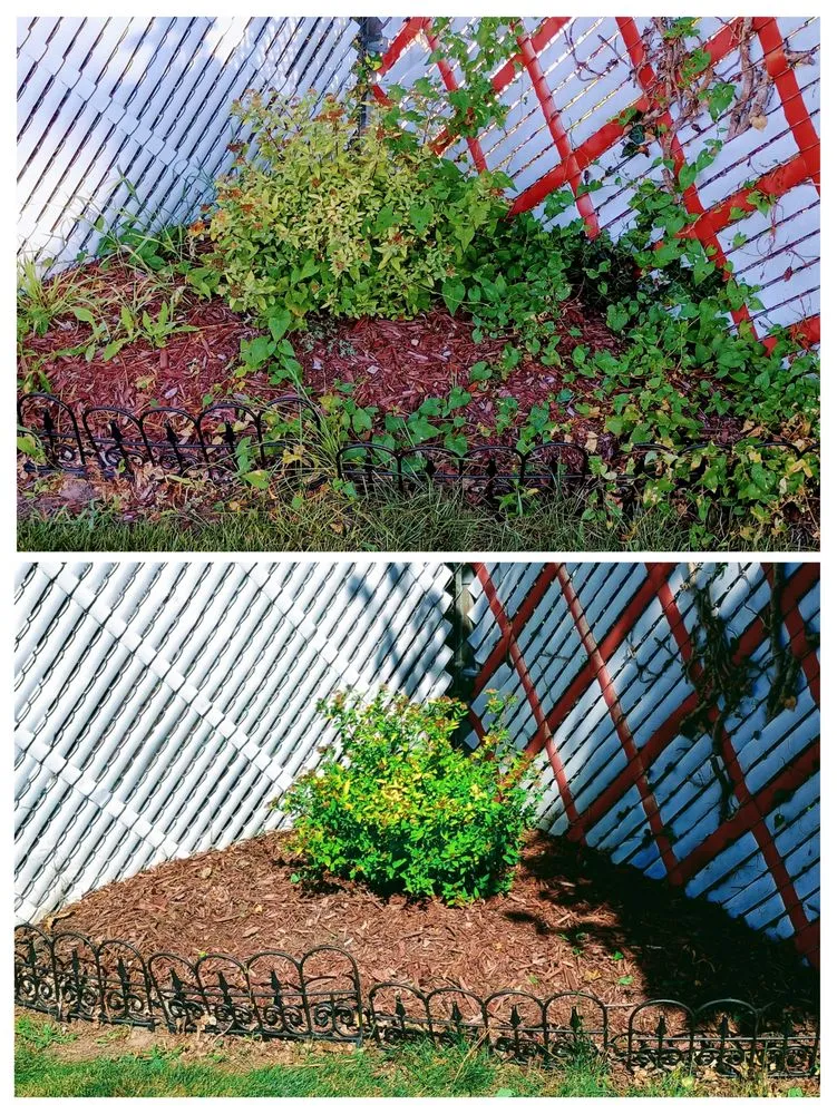 Expert lawn care service for beautiful yards in Saginaw, MI by The Tending