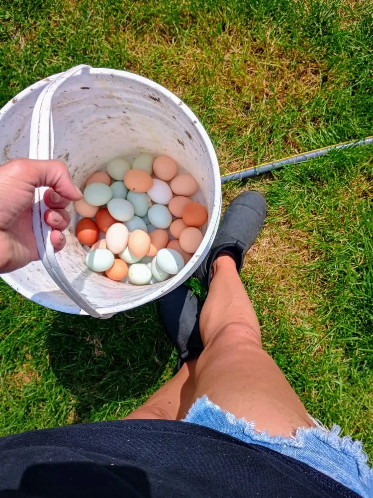 Custom residential landscaping for year-round maintenance in Saginaw, MI by The Tending