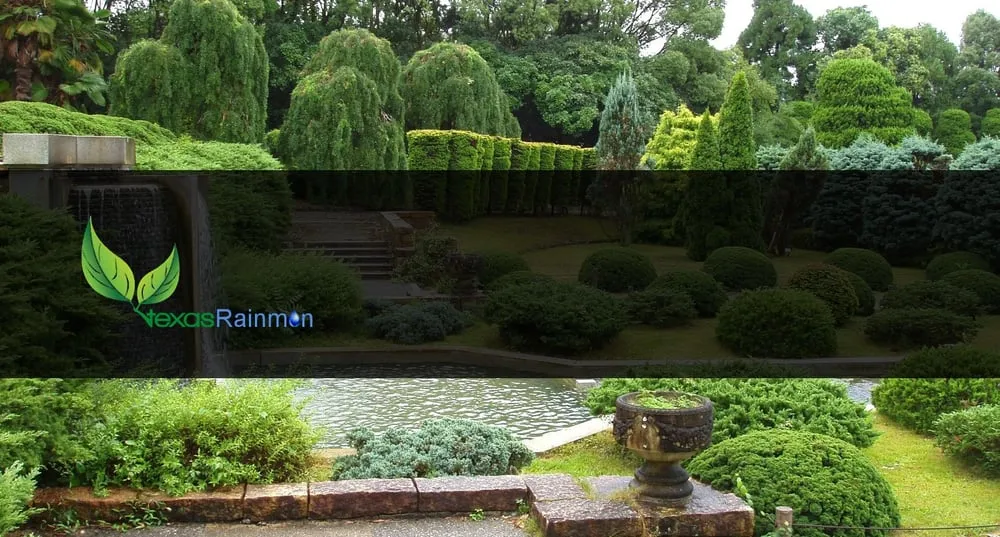 Local outdoor landscaping in Tyler, TX - The Texas Rain Man