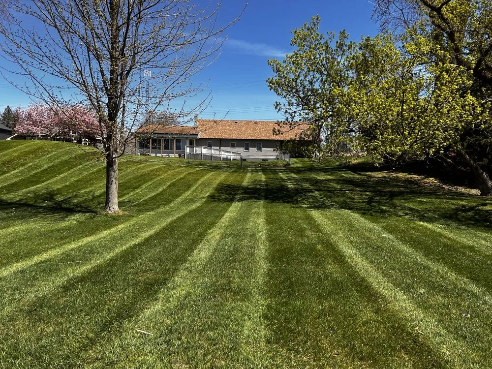 Affordable yard cleanup service in Millington, MI - The Three Amigos Lawncare