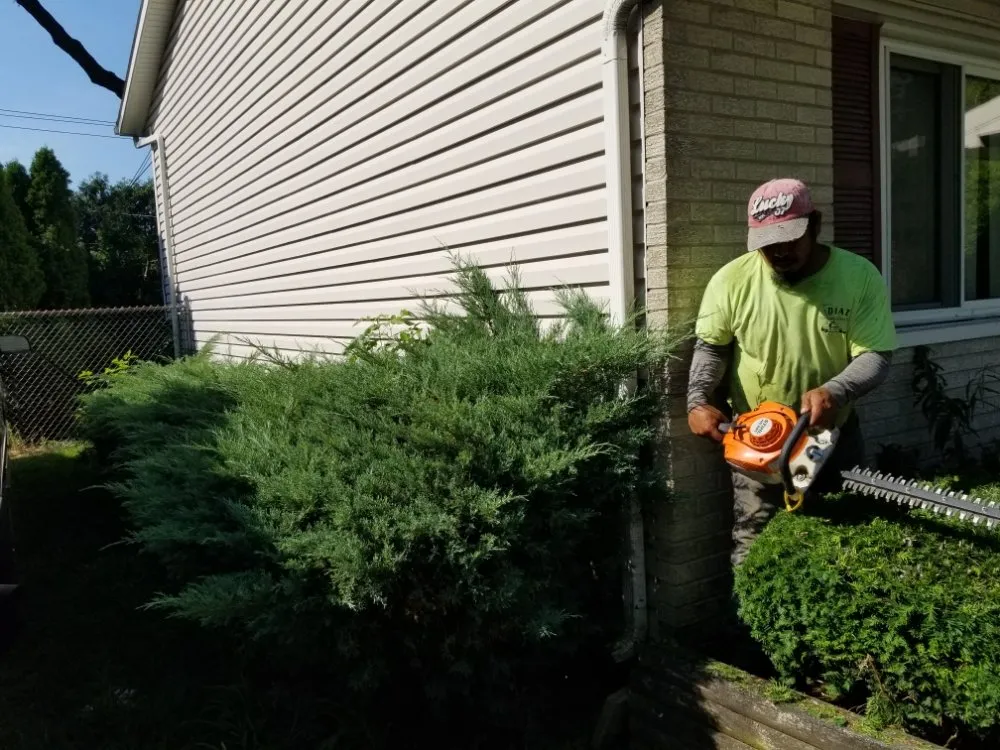 Expert garden landscaping with custom design across Addison, IL - The Three A’s