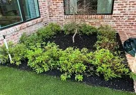 Professional lawn care service experts serving Arlington, TX - The Three Brothers