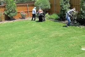 Expert lawn mowing service in Arlington, TX - The Three Brothers