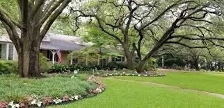Affordable lawn care service for residential properties in Arlington, TX by The Three Brothers