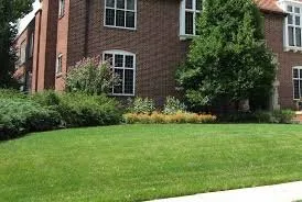 Custom landscape design in Arlington, TX by The Three Brothers