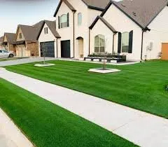 Reliable yard cleanup service for homes in Arlington, TX by The Three Brothers