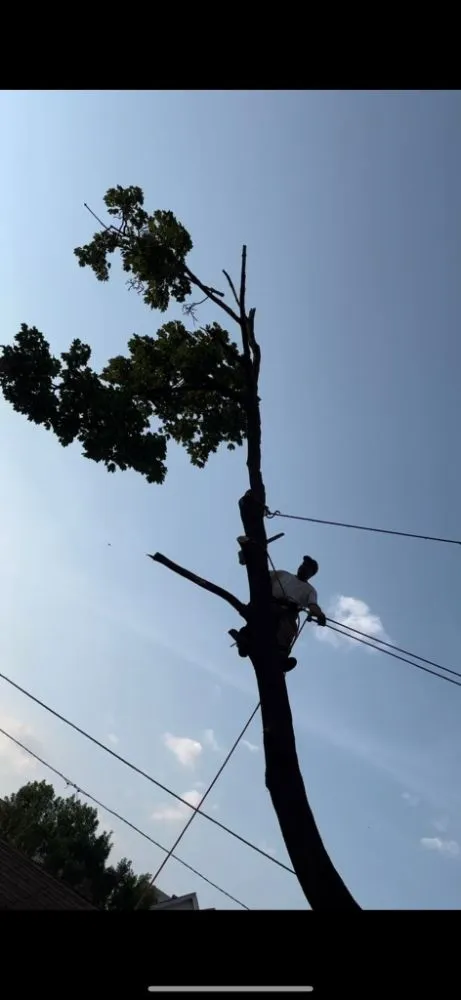 Custom yard maintenance for beautiful yards in Paterson, NJ by The Three Brothers L&T