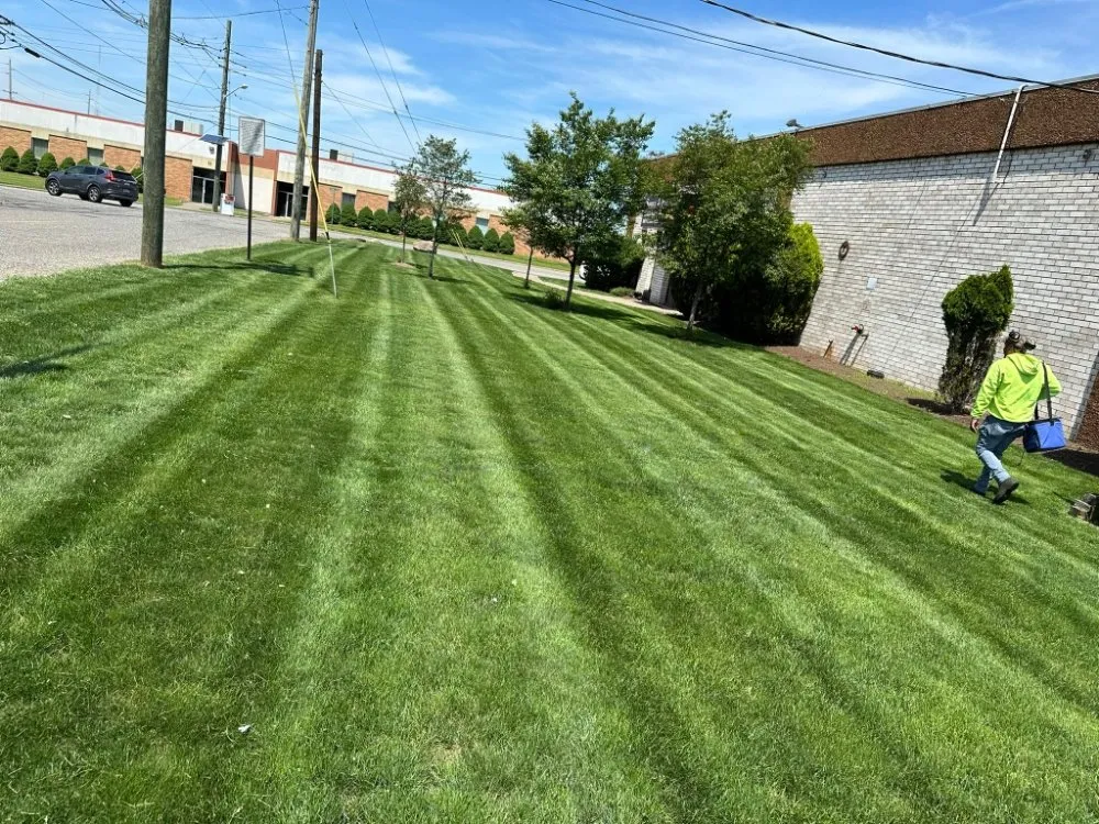 Local yard cleanup service for homes across Paterson, NJ - The Three Brothers L&T