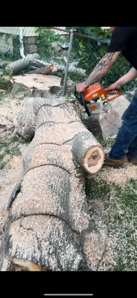 Professional lawn mowing service for year-round maintenance across Paterson, NJ - The Three Brothers L&T