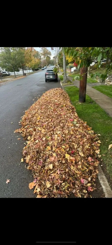 Affordable yard maintenance near you in Paterson, NJ by The Three Brothers L&T
