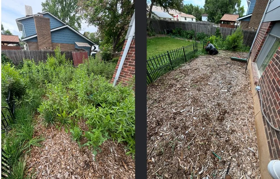 Custom yard maintenance in Mead, CO by The Tidy Teens