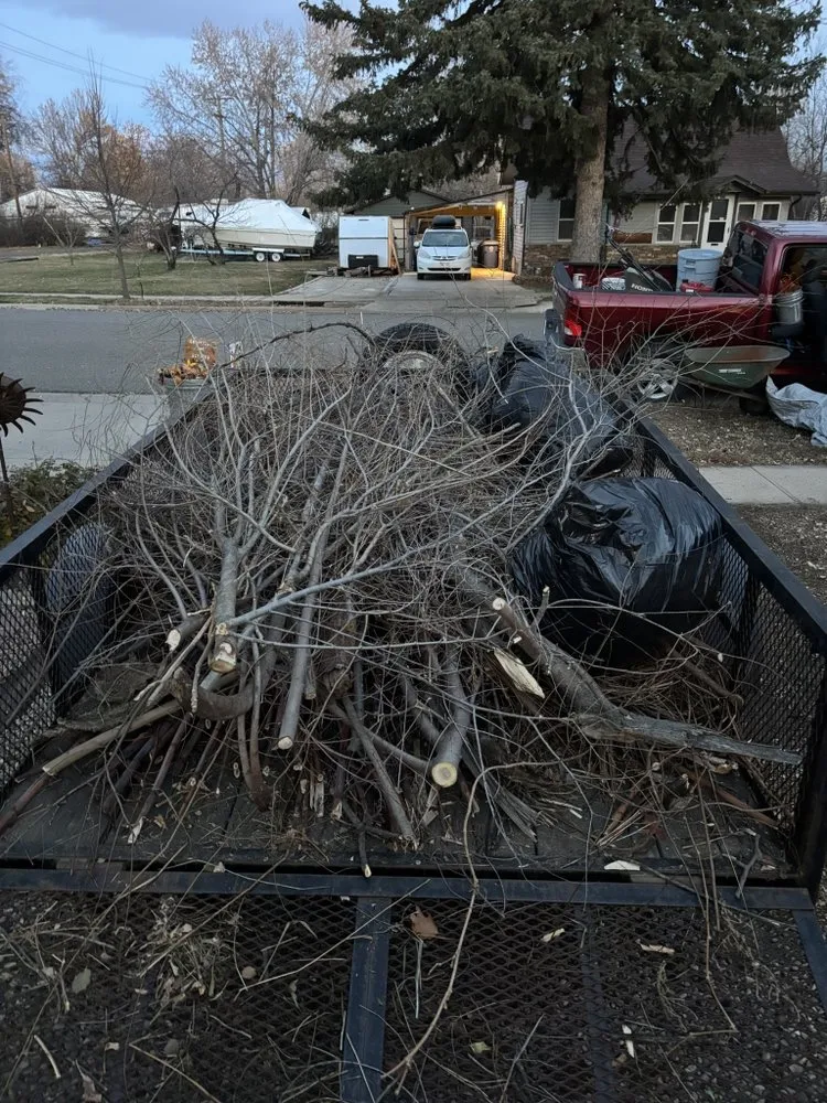 Professional landscaping services in Mead, CO by The Tidy Teens