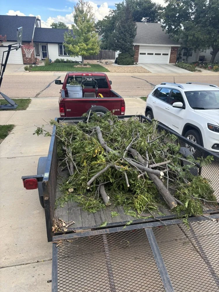 Expert landscaping services in Mead, CO - The Tidy Teens