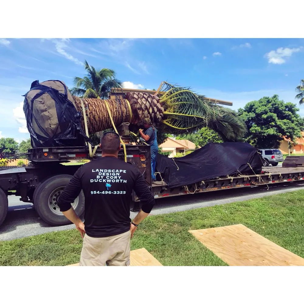 Professional residential landscaping in Pembroke Pines, FL by The Time is Now Landscaping