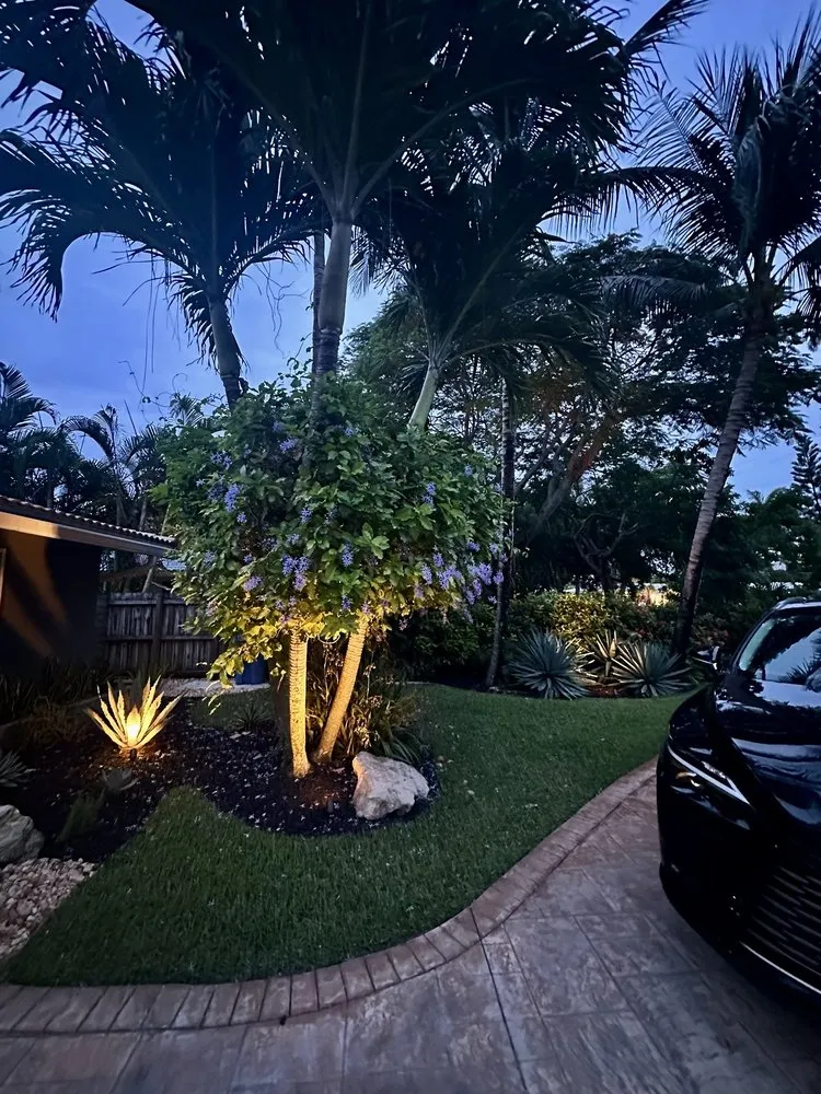 Reliable landscape design in Pembroke Pines, FL by The Time is Now Landscaping