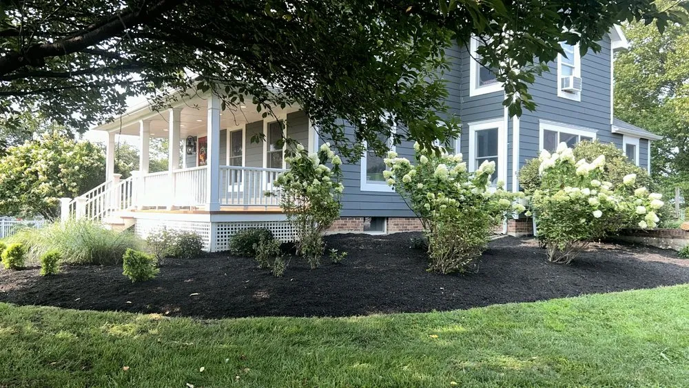 Affordable landscaping services in Silver Spring, MD by The Top Team Lawn Care