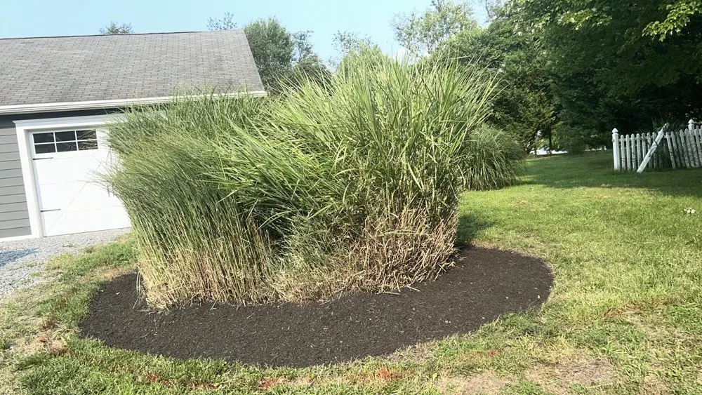 Trusted residential landscaping for homes in Silver Spring, MD by The Top Team Lawn Care