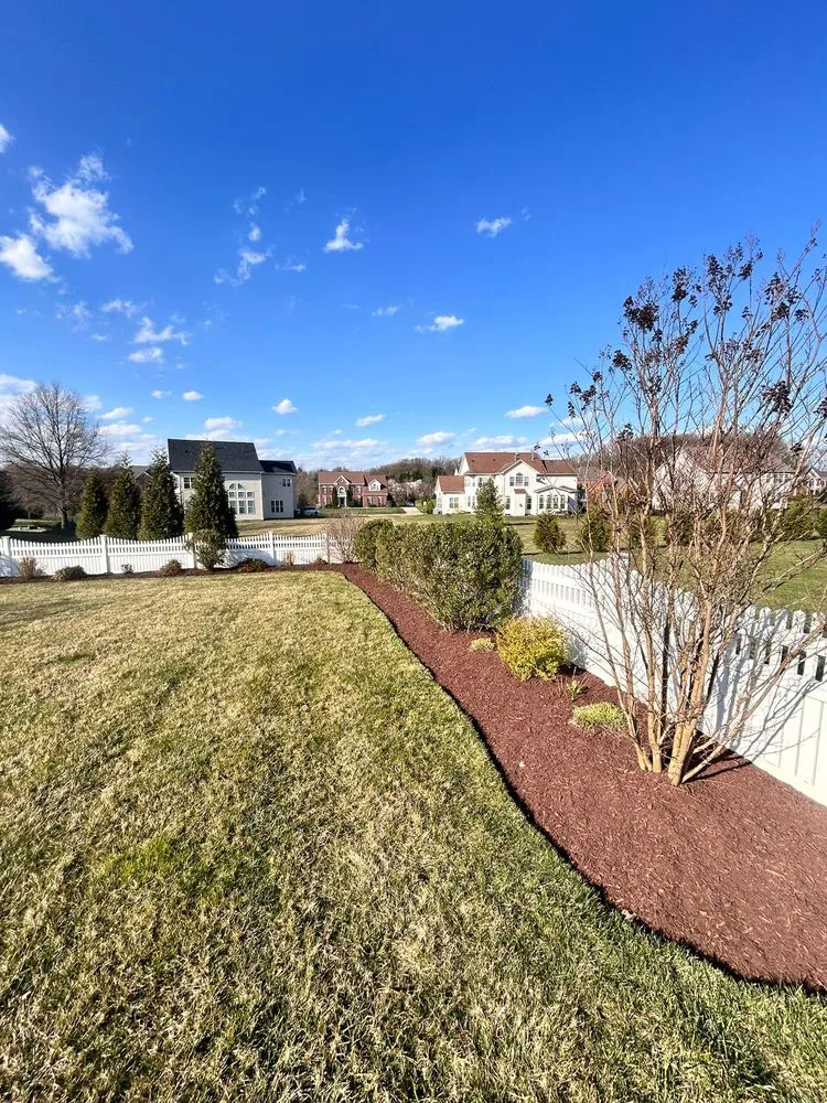 Affordable residential landscaping in Silver Spring, MD by The Top Team Lawn Care