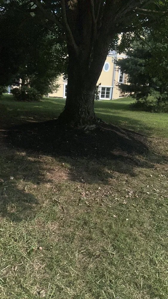 Expert outdoor landscaping in Silver Spring, MD by The Top Team Lawn Care