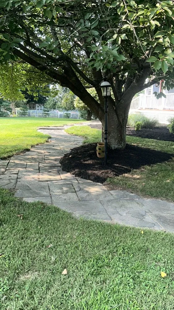 Custom lawn mowing service for beautiful yards in Silver Spring, MD by The Top Team Lawn Care