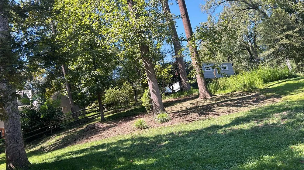 Affordable landscape design for year-round maintenance in Silver Spring, MD by The Top Team Lawn Care