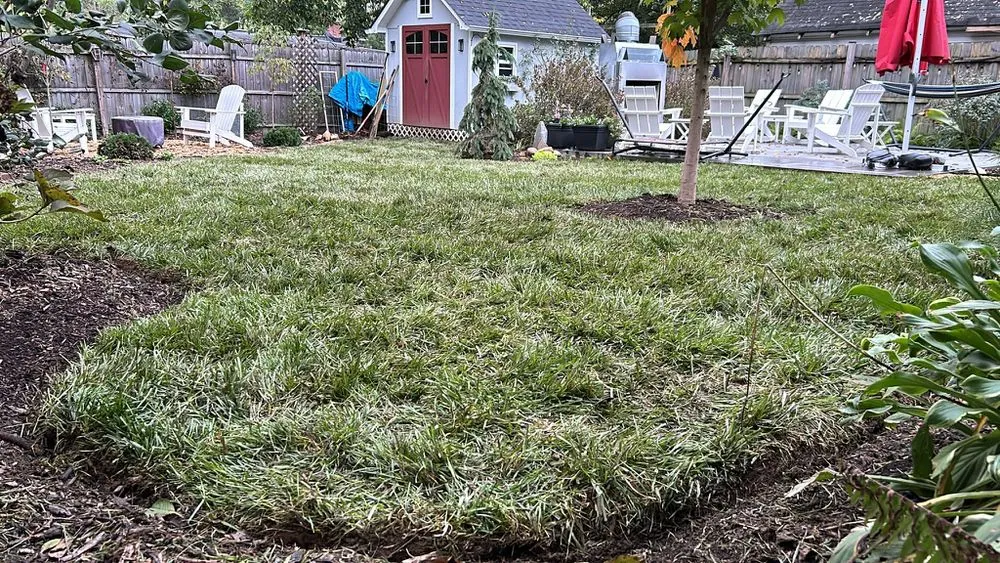 Custom landscape installation for outdoor upgrades in Silver Spring, MD by The Top Team Lawn Care