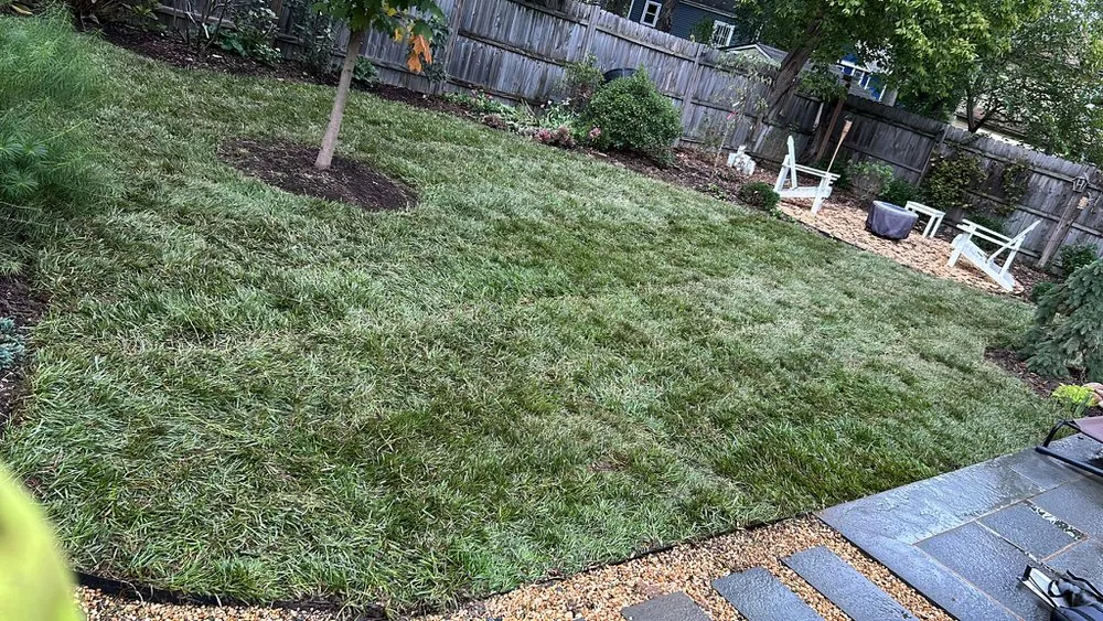 Top-rated residential landscaping in Silver Spring, MD - The Top Team Lawn Care