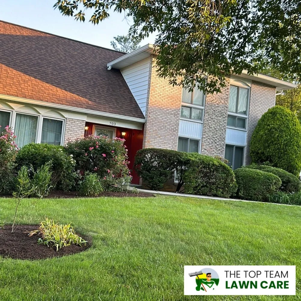 Affordable yard cleanup service for homes across Silver Spring, MD - The Top Team Lawn Care
