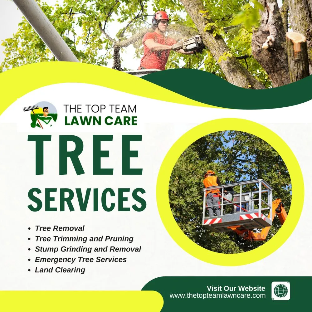Trusted landscape design in Silver Spring, MD by The Top Team Lawn Care