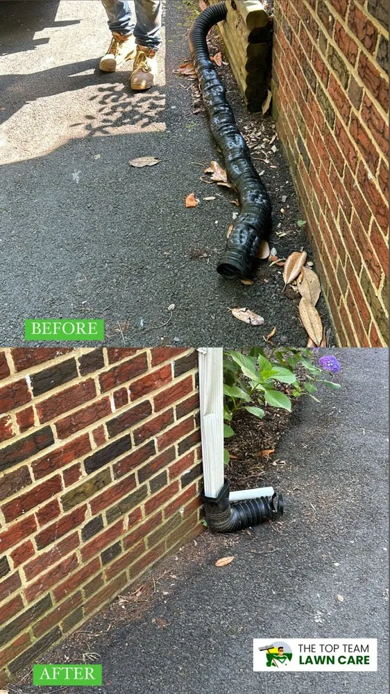 Expert lawn care service in Silver Spring, MD by The Top Team Lawn Care