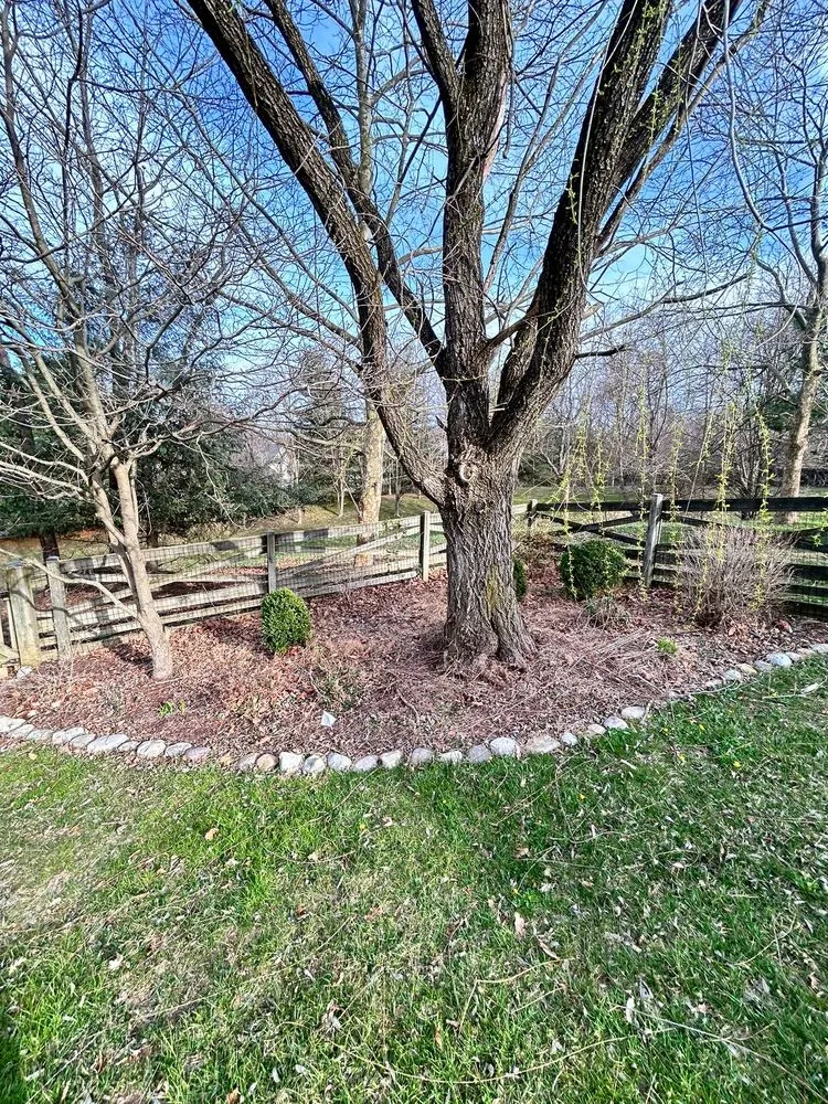 Professional residential landscaping for year-round maintenance across Silver Spring, MD - The Top Team Lawn Care