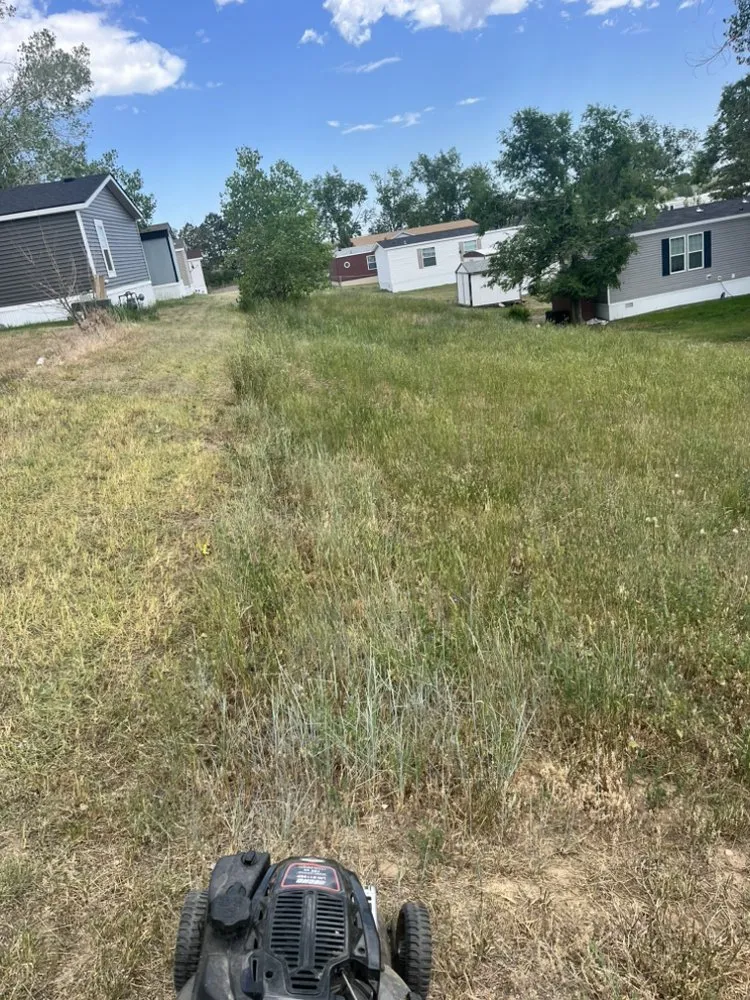 Affordable outdoor landscaping experts serving Gillette, WY - The Toss Boss Junk Removal