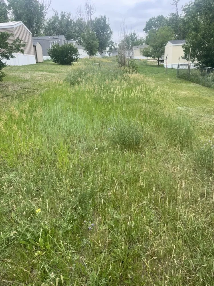 Reliable lawn mowing service in Gillette, WY by The Toss Boss Junk Removal