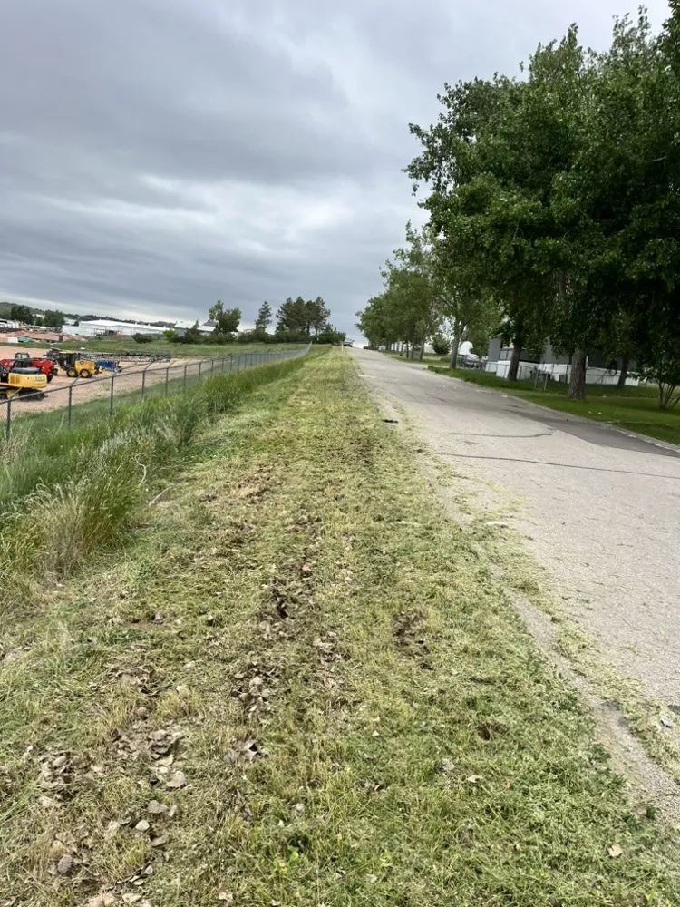 Affordable lawn care service in Gillette, WY by The Toss Boss Junk Removal