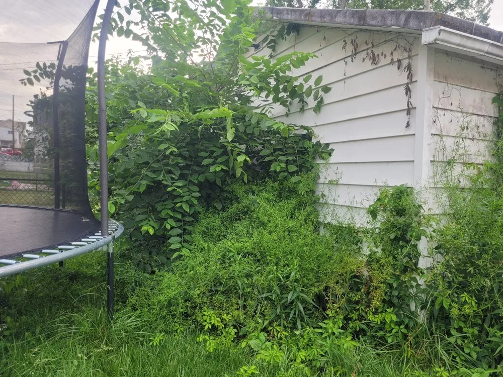 Reliable yard cleanup service in Drums, PA by The Tradesmen Collective