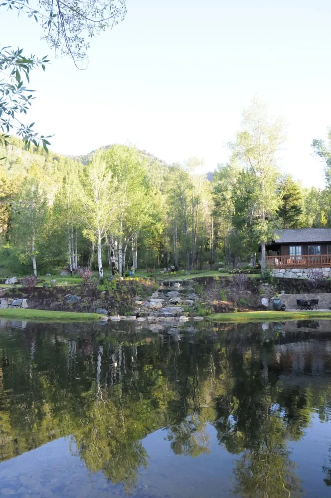 Top-rated landscape installation in Jackson, WY by The Tree and Landscape Company