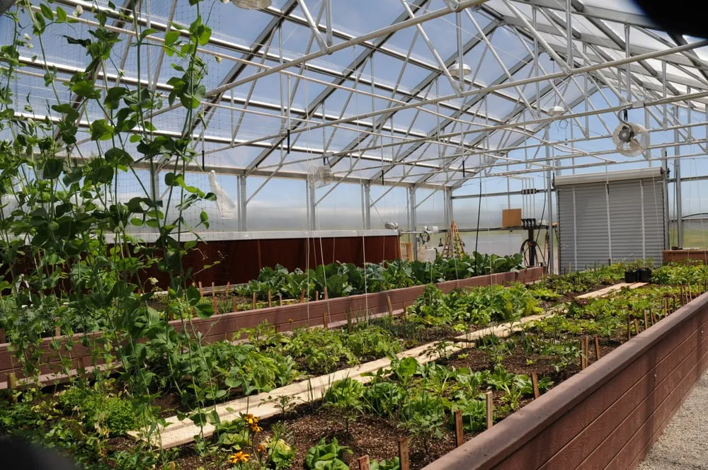 Professional yard maintenance experts serving Jackson, WY - The Tree and Landscape Company