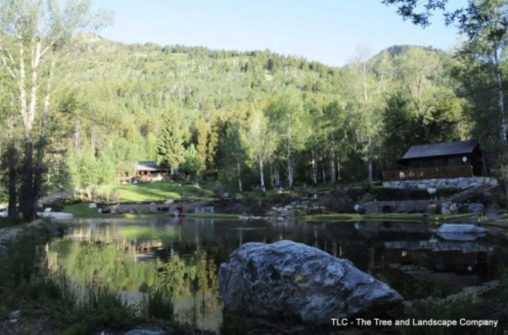 Expert yard maintenance experts serving Jackson, WY - The Tree and Landscape Company