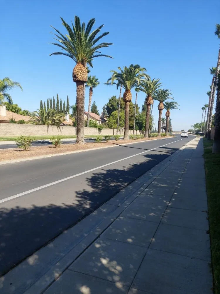 Top-rated yard cleanup service for outdoor upgrades across Winton, CA - The Tree and Lawn Ranger