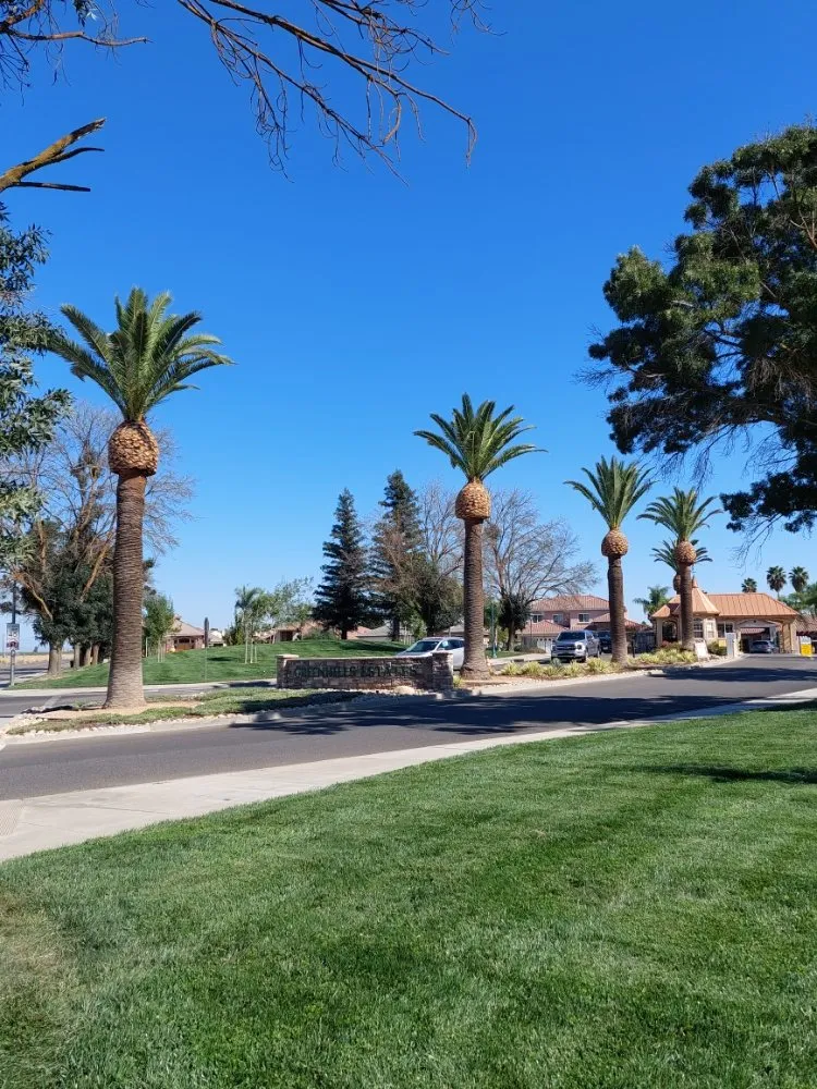 Reliable residential landscaping in Winton, CA by The Tree and Lawn Ranger