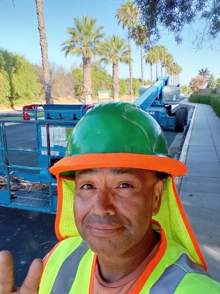 Affordable yard maintenance for outdoor upgrades across Winton, CA - The Tree and Lawn Ranger