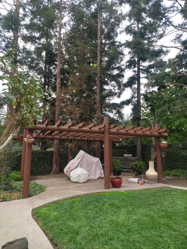 Reliable residential landscaping with custom design across Winton, CA - The Tree and Lawn Ranger