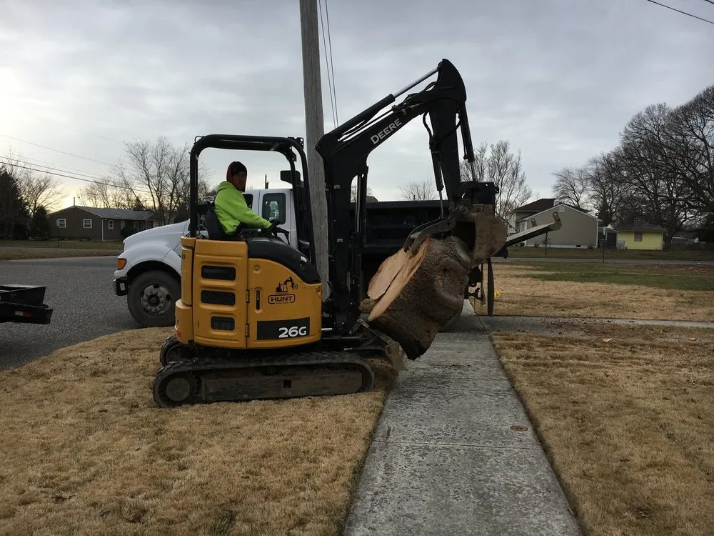 Local outdoor landscaping experts serving Cape May, NJ - The Tree Barber