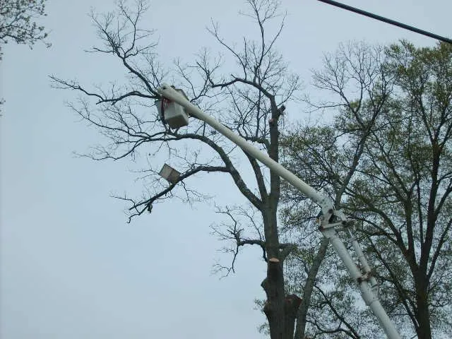 Trusted outdoor landscaping with custom design across Cape May, NJ - The Tree Barber