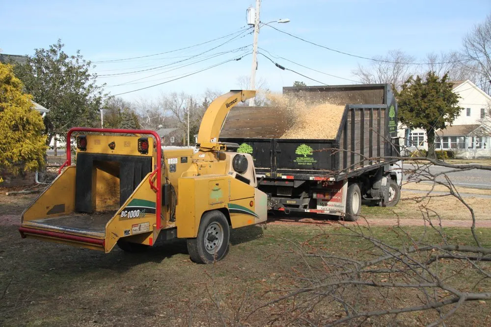 Top-rated garden landscaping experts serving Cape May, NJ - The Tree Barber