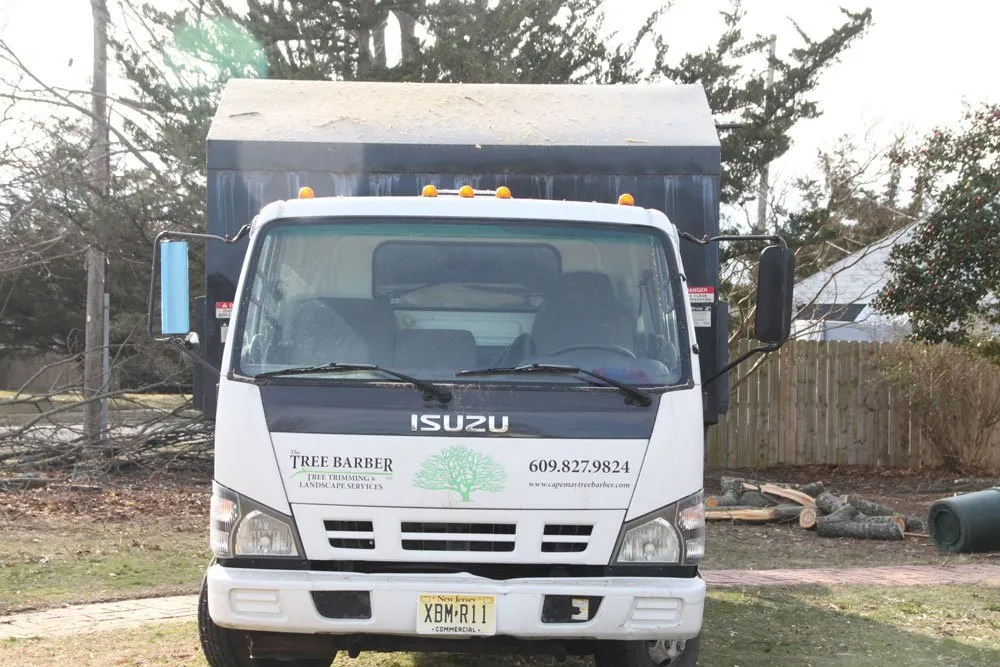 Expert landscape design with custom design across Cape May, NJ - The Tree Barber