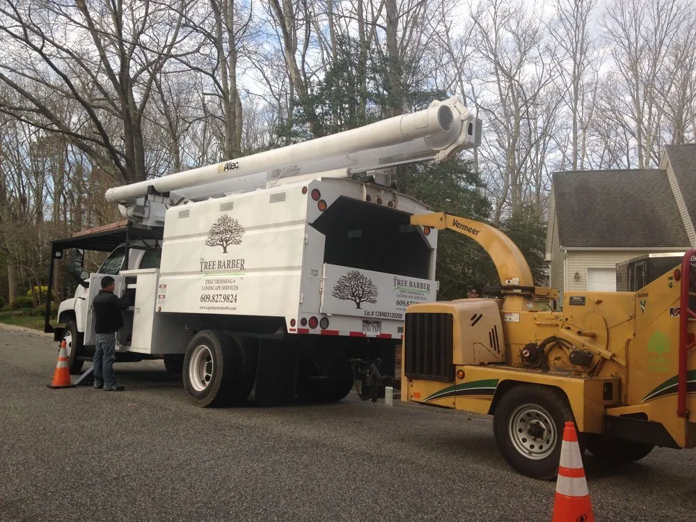 Professional lawn care service experts serving Cape May, NJ - The Tree Barber