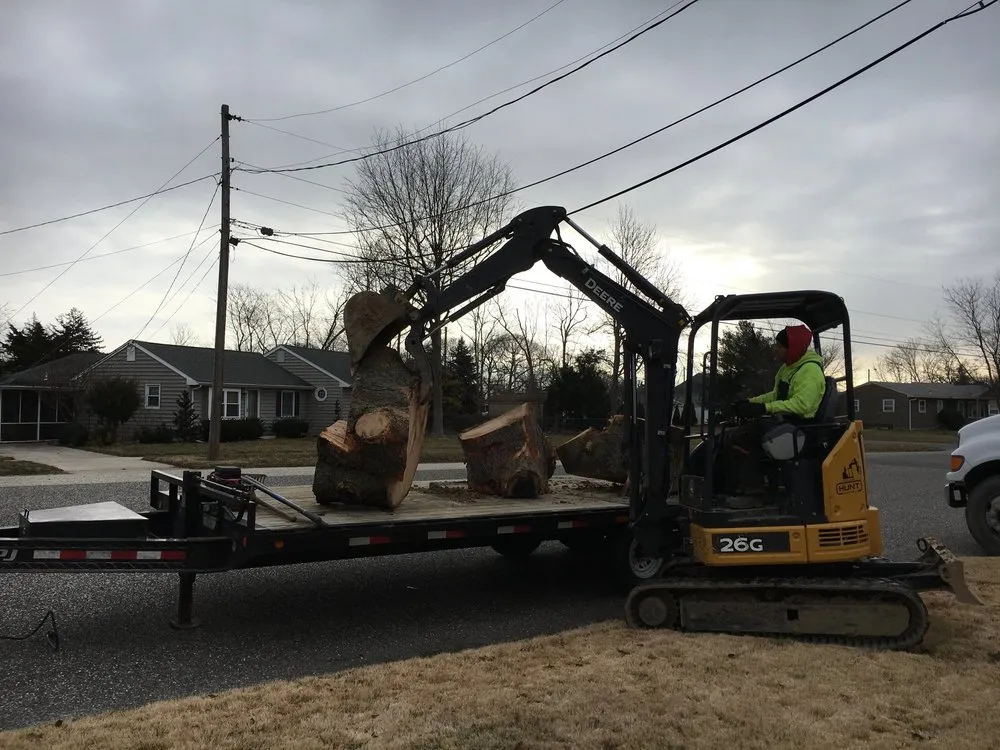 Affordable landscape design near you across Cape May, NJ - The Tree Barber